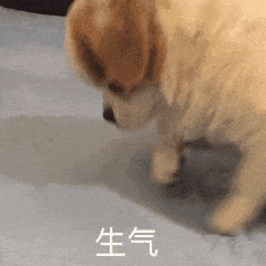 8B01011B.gif