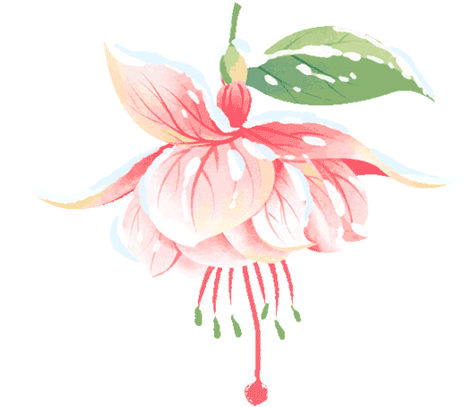 ͼƬ