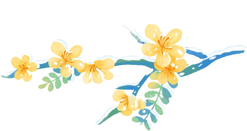 ͼƬ