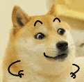 ͼƬ