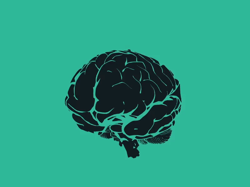 生灵包括动物吗_生物有灵性_世间生物都有灵