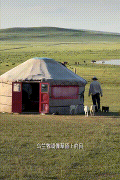 IMG_1763.GIF