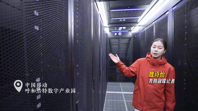 IMG_4565.GIF