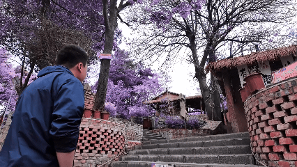 5.gif