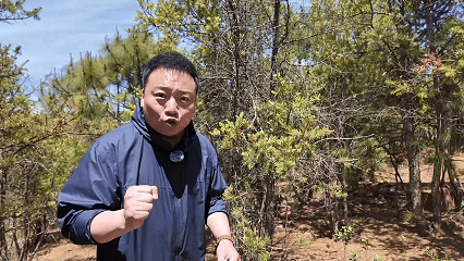 5.gif