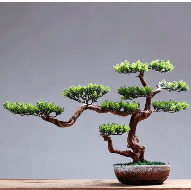 朴记 禅意迎客松盆景植物摆件玄关客厅新中式家居样板房电视展示柜软装饰品 单迎客松含花瓶组合【图片 价格 品牌 报价】-京东