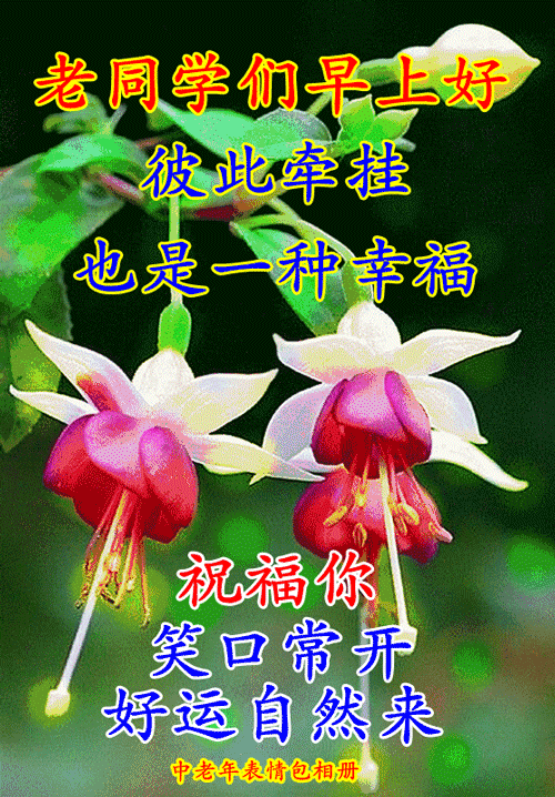 早上好表情包无论晴天阴天雨天愿你快乐每一天