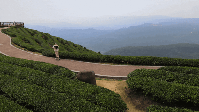 年均温16.7℃！连江这里藏不住啦！