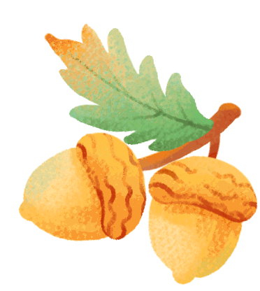 中药熏蒸床怎么用【新设备 新突破 新希望】中药熏蒸床：肇源县中医院康复新利器_https://www.jmylbn.com_新闻资讯_第5张