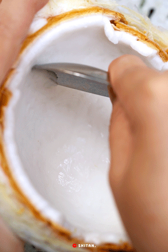 û����gaga�Ɑ��Ʒ��������....