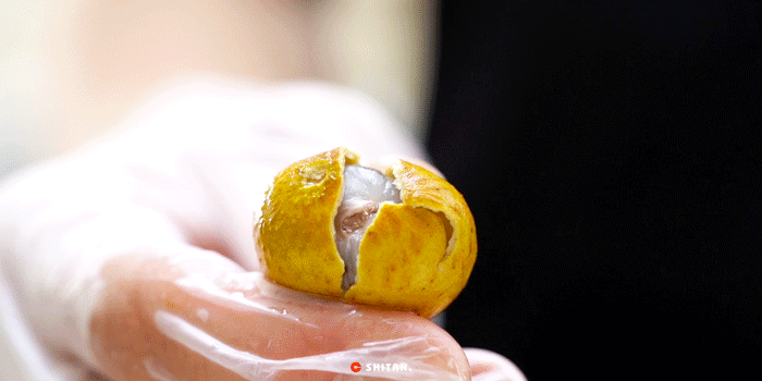 û����gaga�Ɑ��Ʒ��������....