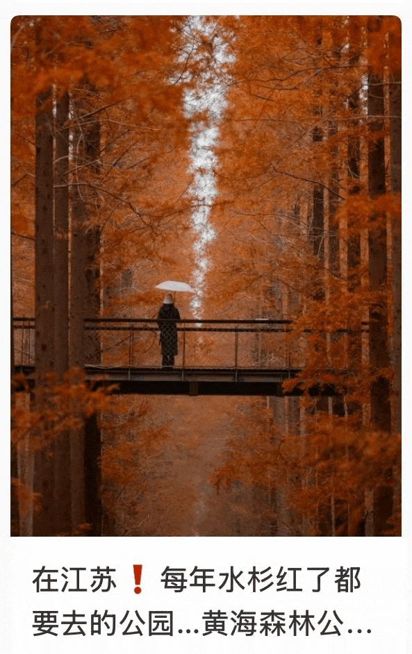 imageonline-co-gifimage (17).gif