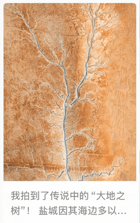 imageonline-co-gifimage (20).gif