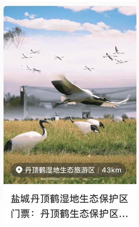 imageonline-co-gifimage (15).gif