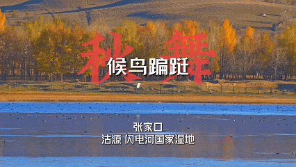 四季如歌·秋日话丰景短视频征集活动启动！ 第5张