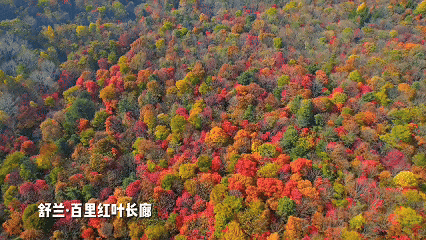 四季如歌·秋日话丰景短视频征集活动启动！ 第2张