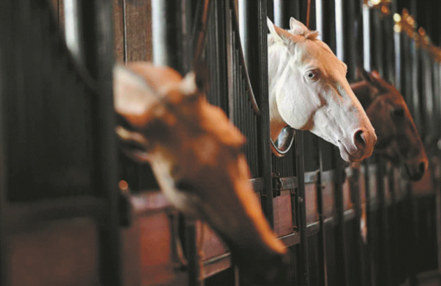 截屏2025-07-07 07.02.53