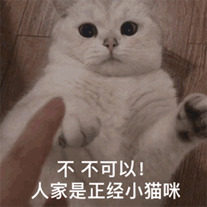 “约会”确定关系:向前一步是爱情,向后一步是约炮