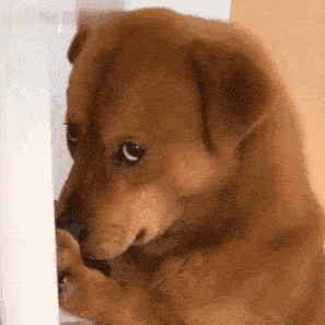 同轴定位针怎么使用一针精准锁定！不骗你，肿瘤活检真是微微痛_https://www.jmylbn.com_新闻资讯_第2张