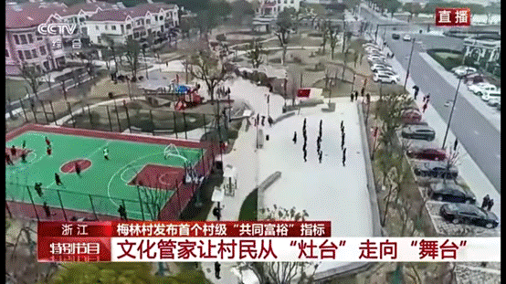 央视一套新闻联播报道