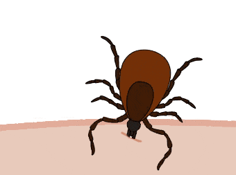 1891876d43908730d85df6dc7ce76df7.jpg