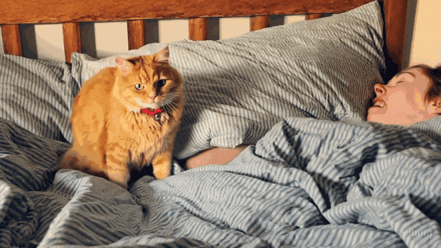 640_wx_fmt=gif&from=appmsg&wxfrom=5&wx_lazy=1&wx_co=1 (22).gif