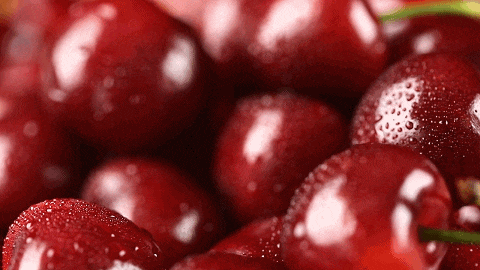 “秋冬顶流”“抢鲜”登场