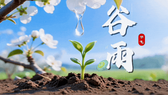 雨滴谷雨.gif