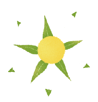 杭州创业 补贴20万 大学生无偿创业补贴