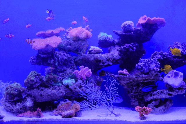 烧伤敷料怎么用图解创面外用药物及敷料系列丨油性药膏的原理及注意事项_https://www.jmylbn.com_新闻资讯_第4张