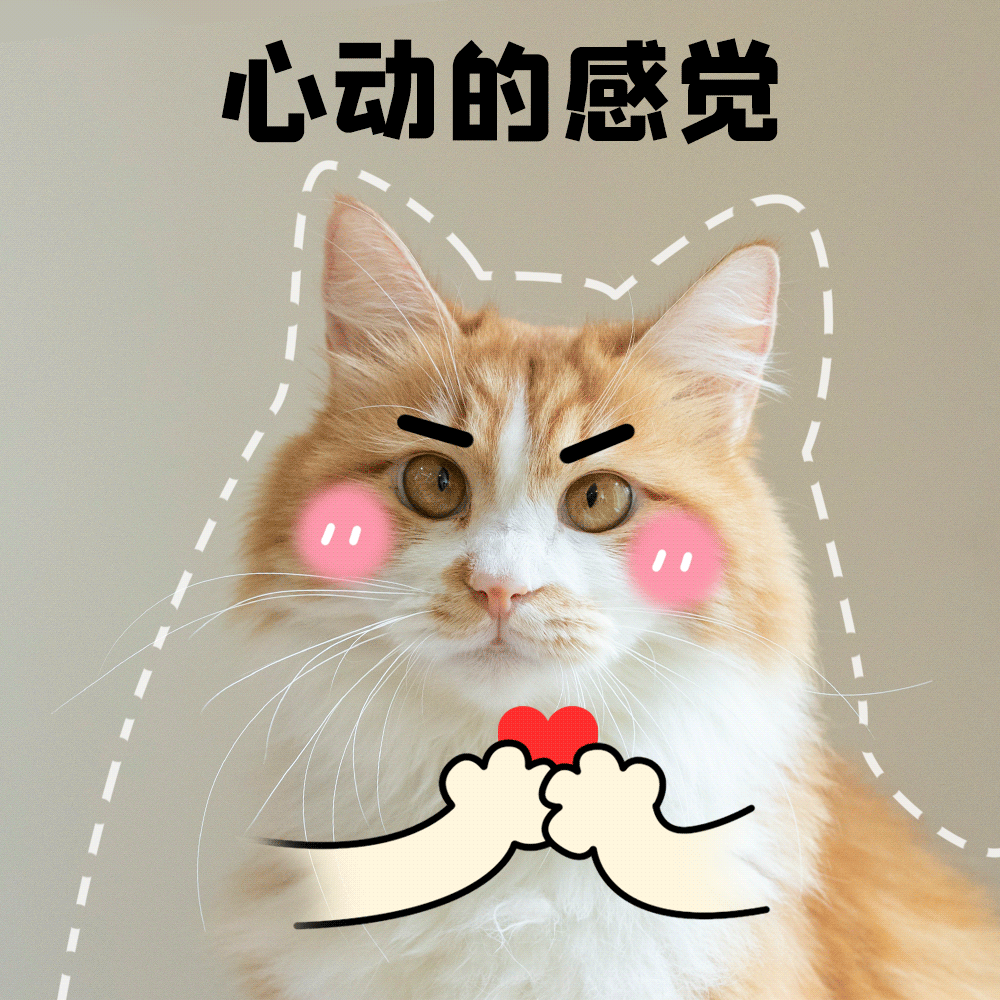 摄图网_401808915_告白猫咪宠物GIF(企业商用).gif 图片