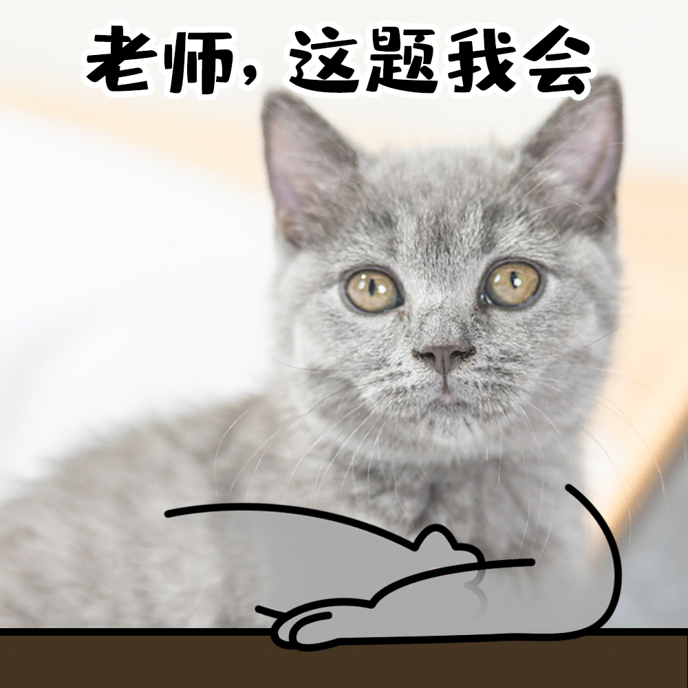 摄图网_401808921_上课学生交友考试做题举手猫咪宠物GIF(企业商用).gif 图片