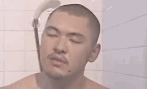 爆红mur猫表情竟来自gv 我搜遍全网找到了资源 你丫才美工 微信公众号文章阅读 Wemp