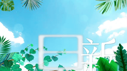 2.gif