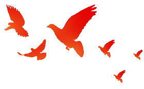 d-spect怎么检查Meta分析 ｜ 99Tcm-PYP SPECT／CT显像对转甲状腺素蛋白相关心脏淀粉样变诊断效能的Meta分析_https://www.jmylbn.com_新闻资讯_第14张