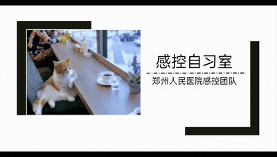 耳鼻喉治疗台怎么消毒郑医感控自习室-第九期丨耳鼻喉内窥镜的洗消_https://www.jmylbn.com_新闻资讯_第1张