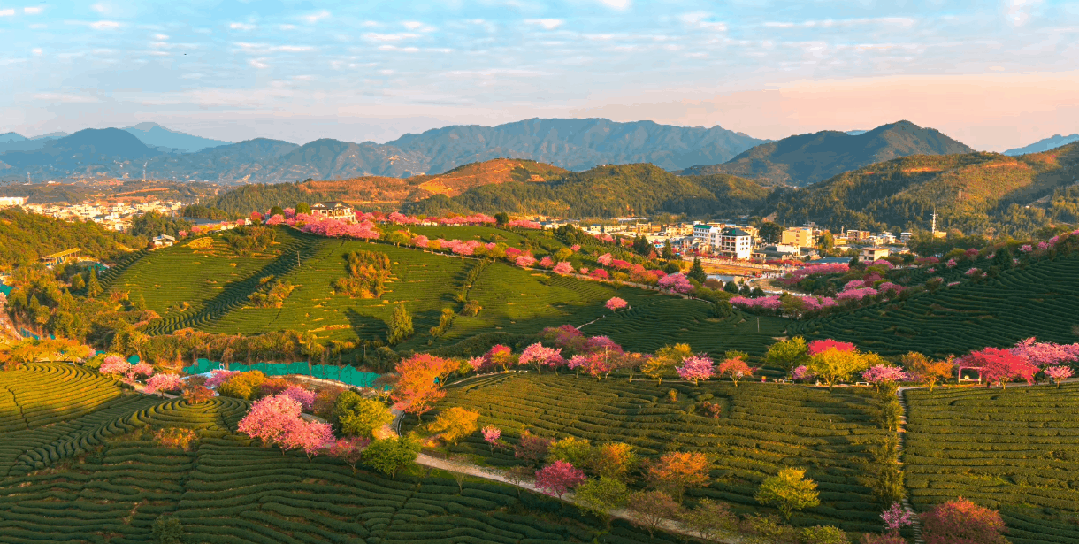 三省交接又找到一座冷门又好吃的小城，美食比厦门还王炸！