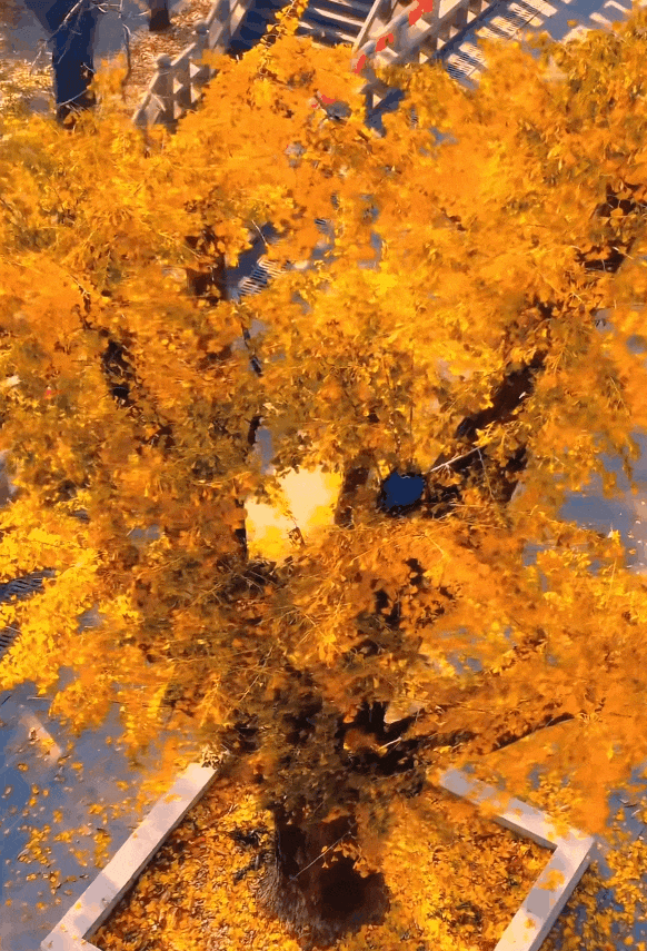 这座低调的宝藏小城，竟藏着1块钱就能get的百年小吃！