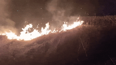 一农户在自家农田中烧荒逼停列车，被行政拘留