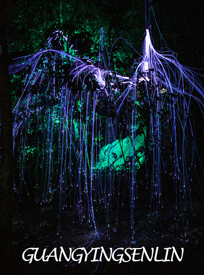 深圳欢乐谷5d奇幻光影森林来了