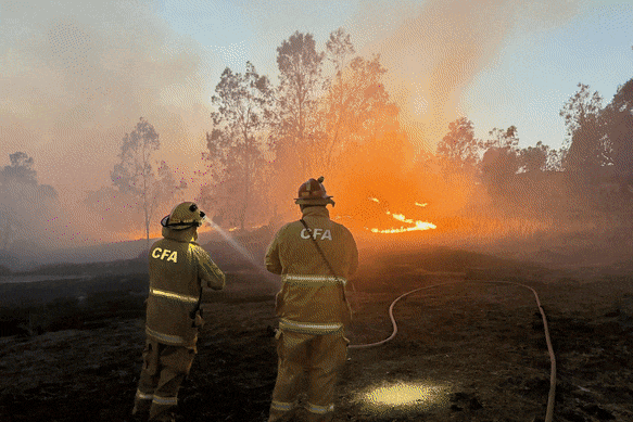 The Longwood bushfire.