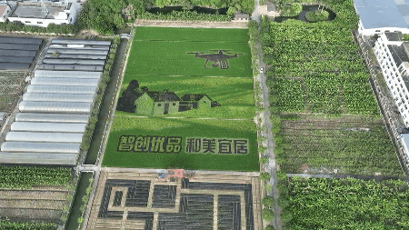 下载 (3).gif