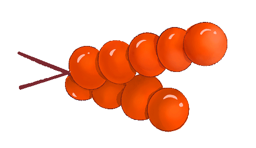 喜迎元旦，情暖校园——山东运河职业中专元旦包水饺活动(图10)