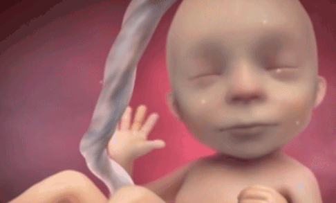 为什么剪脐带要先夹住剪脐带的时候，妈妈和宝宝会感觉到疼痛么？_https://www.jmylbn.com_新闻资讯_第7张