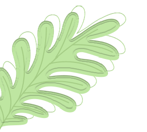 儿童保健电脑怎么用妇幼科普  ｜  扬州市儿童青少年近视防控中心2025年1月视力查询公告及爱眼科普课堂_https://www.jmylbn.com_新闻资讯_第10张