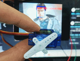 fr_servo.gif
