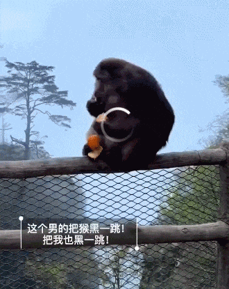 男子猛推峨眉山崖边进食猴子。