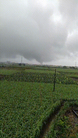 龙卷风一路火花带闪电！广东仍有暴雨或大暴雨
