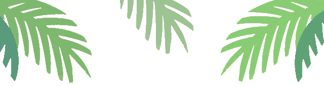 叶子.gif