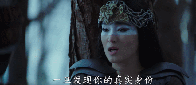 《花木兰》为什么没能赢得国内观众的认可？